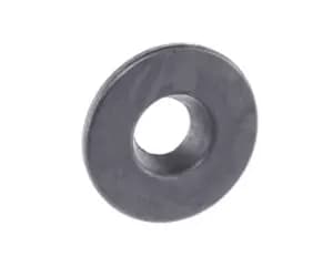 Image of Borsehung Spring Cap B11365 VW,AUDI,SKODA,Golf V Schragheck (1K1),TOURAN (1T1, 1T2),Passat Variant (3C5),GOLF VI (5K1),TIGUAN (5N_)