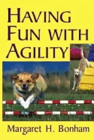 Image of having fun with agility
