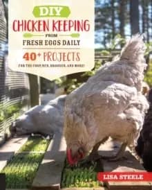 Image of DIY Chicken Keeping from Fresh Eggs Daily : 40+ Projects for the Coop, Run, Brooder, and More!