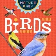 Image of nature baby birds