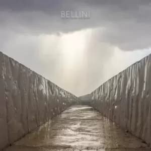 Image of Before the Day Has Gone by Bellini CD Album