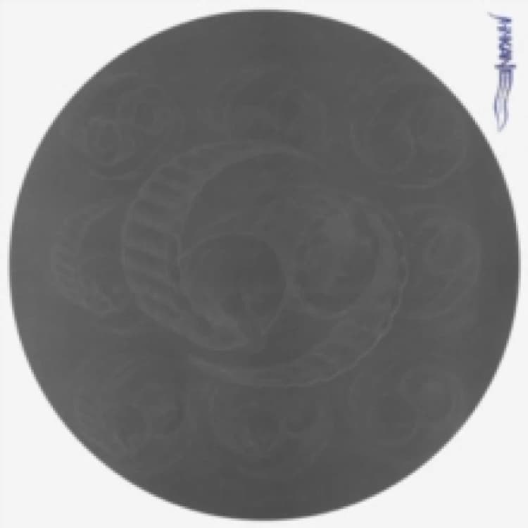 Image of Sixty Nine Vinyl