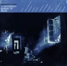 Image of A Different Shade of Blue
