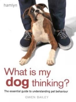 Image of What Is My Dog Thinking by Gwen Bailey Hardback