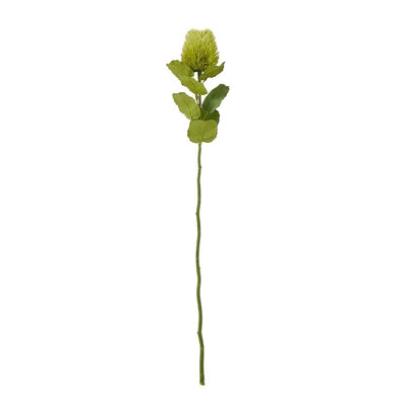 Image of Hill Interiors Banksia Stem Artificial Plant Green (One Size)
