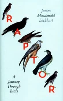 Image of Raptor by James Macdonald Lockhart Hardback
