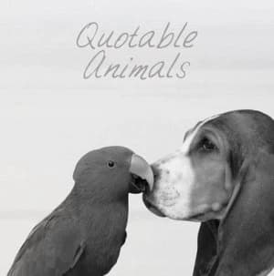 Image of Quotable Animals by Milly Brown Hardback