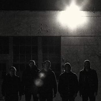 Image of Western Addiction - Frail Baby Vinyl