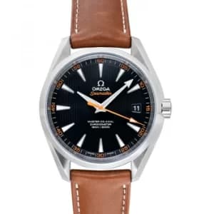 Image of Seamater Aqua Terra 150m Mens Watch