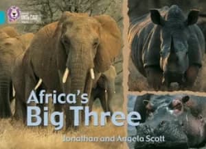 Image of africas big three