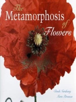 Image of The Metamorphosis of Flowers by Claude Nuridsany and Marie Prennou Hardback