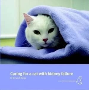 Image of Caring for a Cat with Kidney Failure by Sarah Caney Book