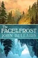 Image of face in the frost