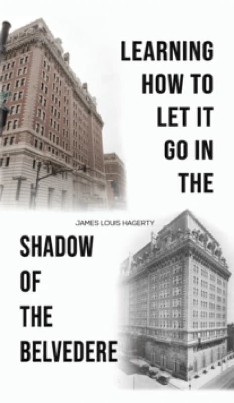 Image of Learning How to Let It Go in the Shadow of the Belvedere Hardback