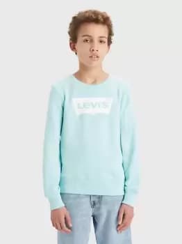 Image of Teenager French Terry Batwing Pullover - Green