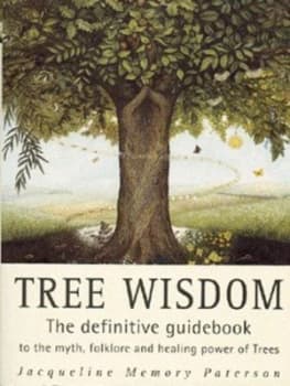 Image of Tree Wisdom by Jacqueline Memory Paterson Paperback