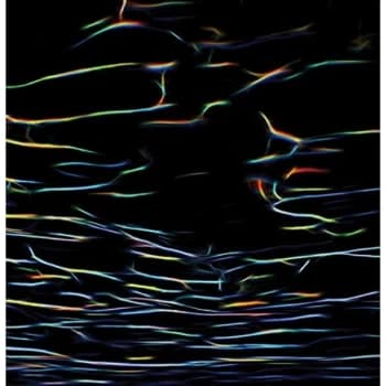 Image of Porter Ricks - Lp-Porter Ricks-Biokinetics (2Lp, 2021 25Th Annive Vinyl
