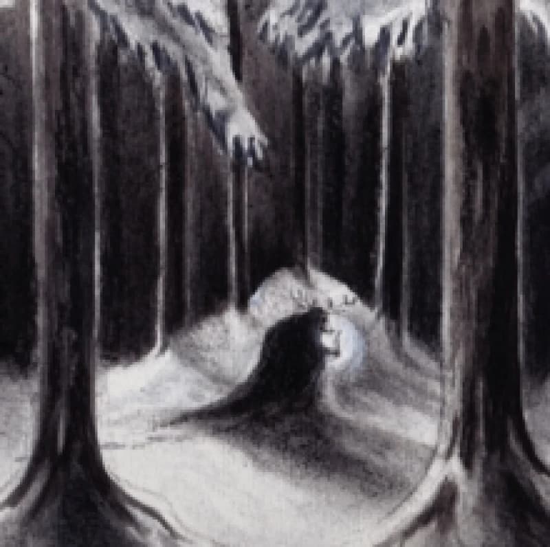 Image of Havulinnaan CD / Album Digipak