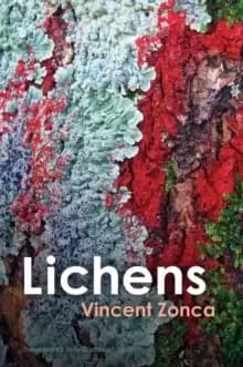 Image of Lichens : Toward a Minimal Resistance