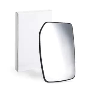 Image of TYC Wing Mirror Glass FORD 310-0086-1 4059969,YC1517K741BA