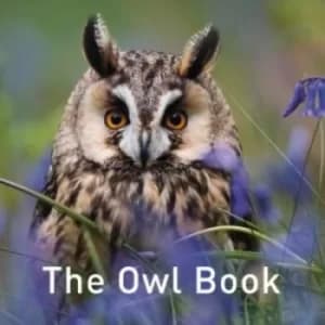 Image of The Owl Book by Jane Russ