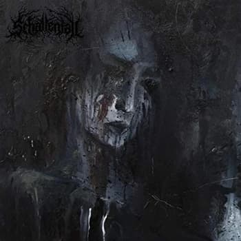 Image of Schattenfall - Schatten in Schwarz Vinyl