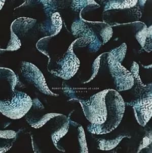 Image of Robot Koch, Savannah Jo Lack - Otherwhere Vinyl