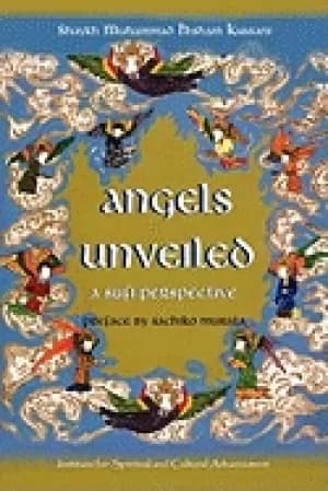 Image of angels unveiled a sufi perspective