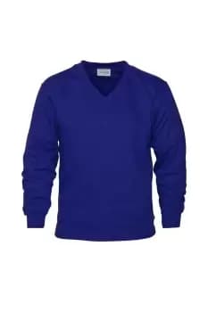 Image of V Neck Sweat