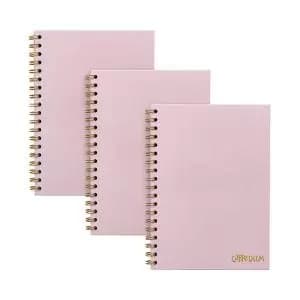 Image of Pukka Pads Carpe Diem Wirebound Hardback Notebook Pink B5 9376-CD