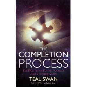 Image of The Completion Process : The Practice of Putting Yourself Back Together Again