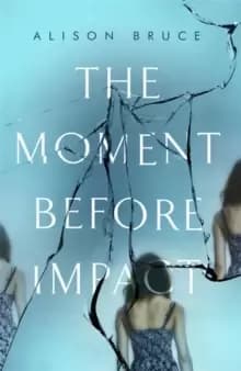 Image of The Moment Before Impact