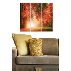 Image of MDF312214031 Multicolor Decorative MDF Painting (3 Pieces)