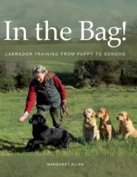 Image of In the bag by Margaret Allen