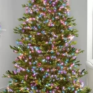Image of The Winter Workshop - 2000 LED Compact Cluster Lights for 10ft Christmas Tree - Indoor & Outdoor Garden Party Wedding Event Multi Function Timer