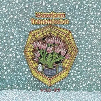 Image of Waveform Transmission - V 3.0-3.9 Vinyl