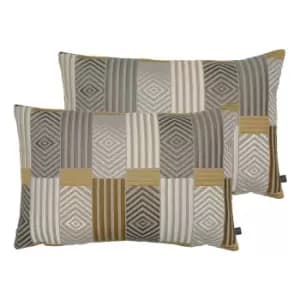 Image of Blake Twin Pack Polyester Filled Cushions