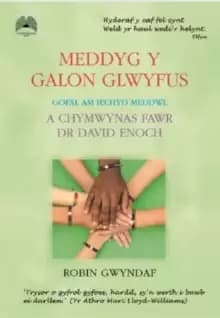 Image of Meddyg y Galon Glwyfus - Gofal am Iechyd Meddwl a Chymwynas Fawr Dr David Enoch