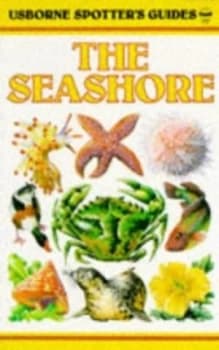 Image of The Seashore by Su Swallow Book