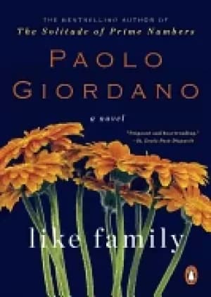 Image of like family a novel
