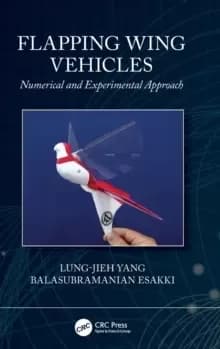 Image of Flapping Wing Vehicles : Numerical and Experimental Approach