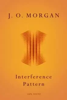 Image of Interference Pattern