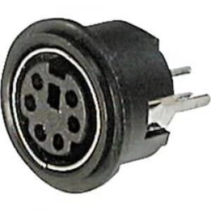 Image of Mini DIN connector Socket vertical vertical Number of pins 4 Black ASSMANN WSW A DIO TOP04