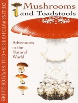Image of Mushrooms and Toadstools by Bernard Duhem and Franois Desbordes and Fernand Mognetti Book