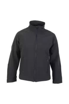 Image of Boreal Softshell