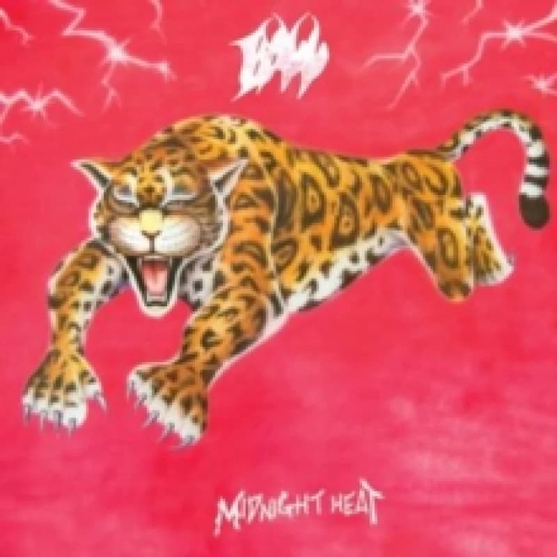 Image of Midnight heat Vinyl