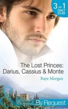 Image of The Lost Princes by Raye Morgan Book