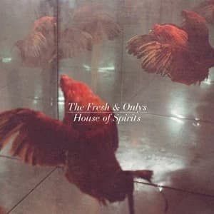 Image of The Fresh & Onlys - House Of Spirits Vinyl