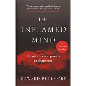 Image of The Inflamed Mind A radical new approach to depression Hardback 2018