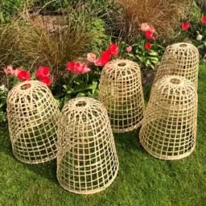 Image of Bamboo Bell Cloche - Large (pack of 5)
